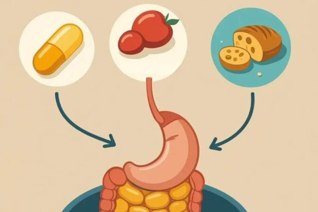 a importância da vitamina b12-